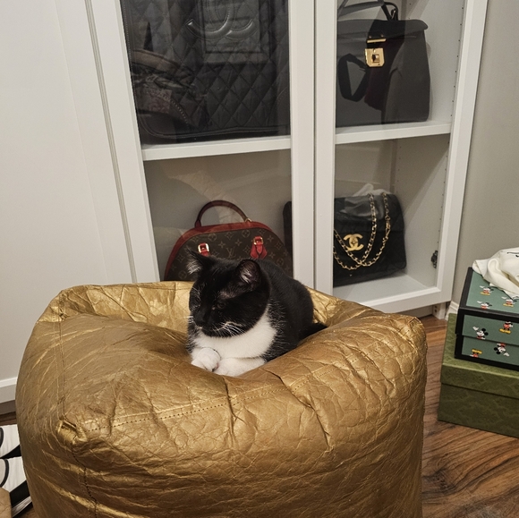 Meet your Posher, Monica LVLOUISINLOVE - Picture 13 of 16